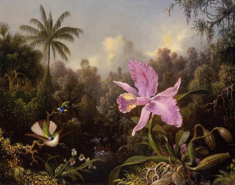 Martin Johnson Heade Orchid and Two Hummingburds